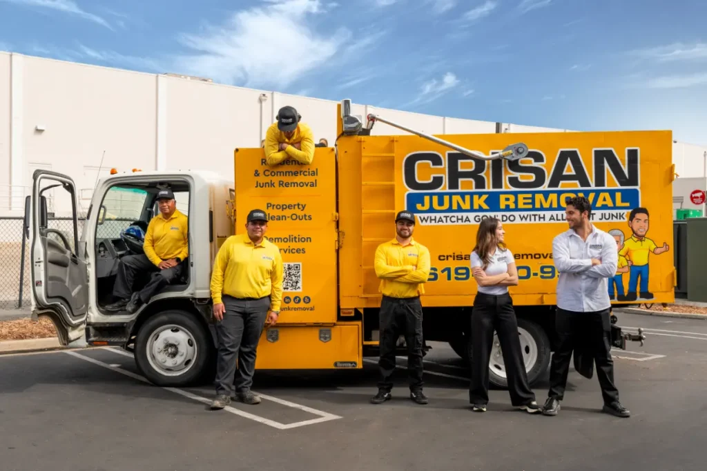 Expert Dirt Removal San Diego