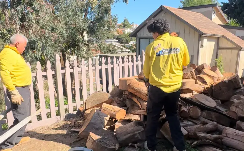 Yard Waste Removal in San Diego: What You Can & Can’t Throw Away
